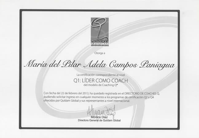 Constancia: Q1: Líder como coach