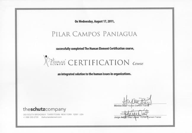Constancia: The Human Element: Certification